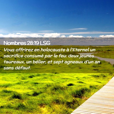 Picture 02 - Nombres 28:19 LSG - Vous offrirez en holocauste à l'Eternel un - Bible Verse Picture