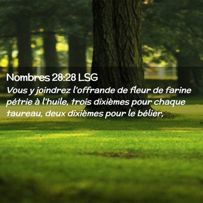 Picture 02 - Nombres 28:28 LSG - Vous y joindrez l'offrande de fleur de farine - Bible Verse Picture