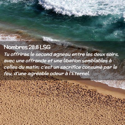 Picture 02 - Nombres 28:8 LSG - Tu offriras le second agneau entre les deux - Bible Verse Picture