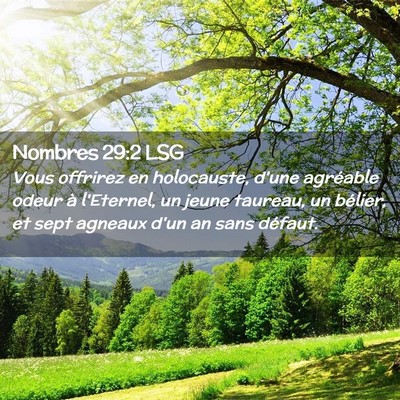 Picture 02 - Nombres 29:2 LSG - Vous offrirez en holocauste, d'une agréable - Bible Verse Picture