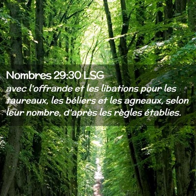 Picture 02 - Nombres 29:30 LSG - avec l'offrande et les libations pour les - Bible Verse Picture