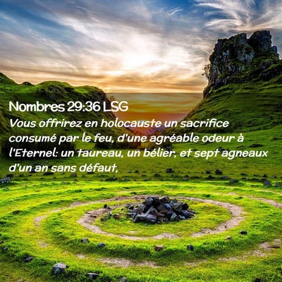 Picture 02 - Nombres 29:36 LSG - Vous offrirez en holocauste un sacrifice consumé - Bible Verse Picture