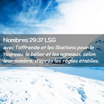Picture 02 - Nombres 29:37 LSG - avec l'offrande et les libations pour le taureau, - Bible Verse Picture