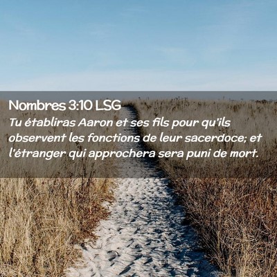 Picture 02 - Nombres 3:10 LSG - Tu établiras Aaron et ses fils pour qu'ils - Bible Verse Picture