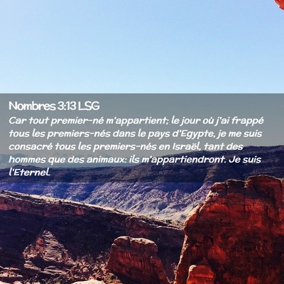 Picture 02 - Nombres 3:13 LSG - Car tout premier-né m'appartient; le jour où - Bible Verse Picture