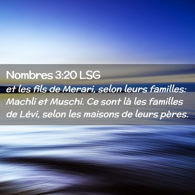 Picture 02 - Nombres 3:20 LSG - et les fils de Merari, selon leurs familles: - Bible Verse Picture
