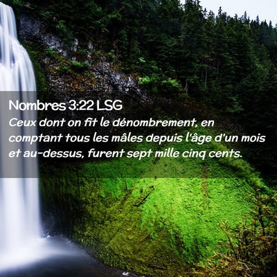 Picture 02 - Nombres 3:22 LSG - Ceux dont on fit le dénombrement, en comptant - Bible Verse Picture