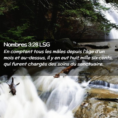Picture 02 - Nombres 3:28 LSG - En comptant tous les mâles depuis l'âge d'un - Bible Verse Picture