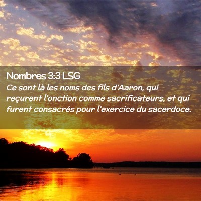 Picture 02 - Nombres 3:3 LSG - Ce sont là les noms des fils d'Aaron, qui - Bible Verse Picture