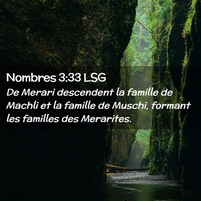 Picture 02 - Nombres 3:33 LSG - De Merari descendent la famille de Machli et la - Bible Verse Picture