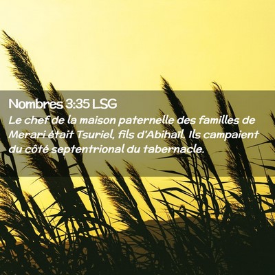 Picture 02 - Nombres 3:35 LSG - Le chef de la maison paternelle des familles de - Bible Verse Picture