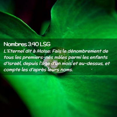 Picture 02 - Nombres 3:40 LSG - L'Eternel dit à Moïse: Fais le dénombrement de - Bible Verse Picture
