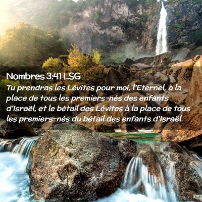 Picture 02 - Nombres 3:41 LSG - Tu prendras les Lévites pour moi, l'Eternel, à - Bible Verse Picture