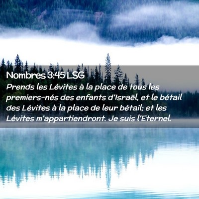 Picture 02 - Nombres 3:45 LSG - Prends les Lévites à la place de tous les - Bible Verse Picture