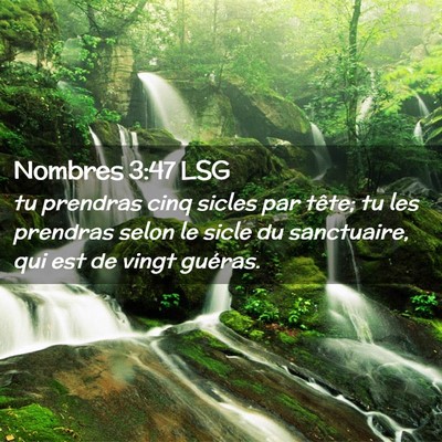 Picture 02 - Nombres 3:47 LSG - tu prendras cinq sicles par tête; tu les - Bible Verse Picture