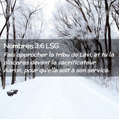 Picture 02 - Nombres 3:6 LSG - Fais approcher la tribu de Lévi, et tu la - Bible Verse Picture
