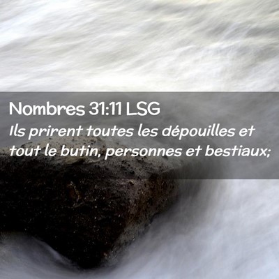 Picture 02 - Nombres 31:11 LSG - Ils prirent toutes les dépouilles et tout le - Bible Verse Picture