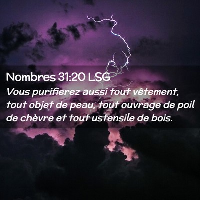 Picture 02 - Nombres 31:20 LSG - Vous purifierez aussi tout vêtement, tout objet - Bible Verse Picture