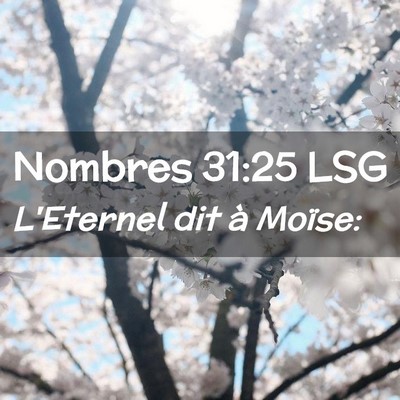 Picture 02 - Nombres 31:25 LSG - L'Eternel dit à - Bible Verse Picture