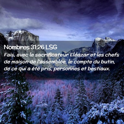 Picture 02 - Nombres 31:26 LSG - Fais, avec le sacrificateur Eléazar et les chefs - Bible Verse Picture