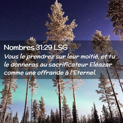 Picture 02 - Nombres 31:29 LSG - Vous le prendrez sur leur moitié, et tu le - Bible Verse Picture