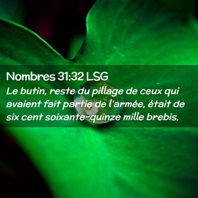 Picture 02 - Nombres 31:32 LSG - Le butin, reste du pillage de ceux qui avaient - Bible Verse Picture