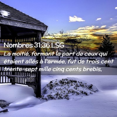 Picture 02 - Nombres 31:36 LSG - La moitié, formant la part de ceux qui étaient - Bible Verse Picture
