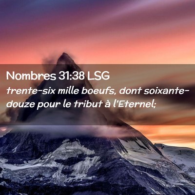 Picture 02 - Nombres 31:38 LSG - trente-six mille boeufs, dont soixante-douze pour - Bible Verse Picture