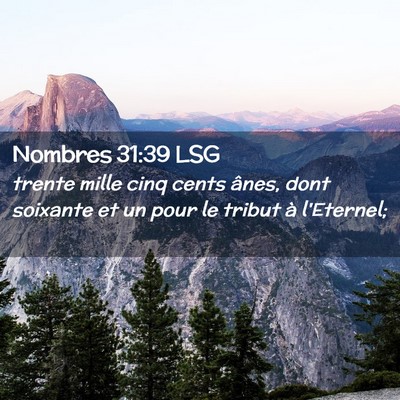 Picture 02 - Nombres 31:39 LSG - trente mille cinq cents ânes, dont soixante et - Bible Verse Picture
