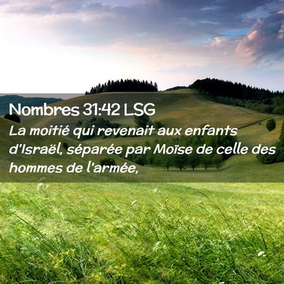Picture 02 - Nombres 31:42 LSG - La moitié qui revenait aux enfants d'Israël, - Bible Verse Picture