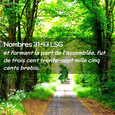Picture 02 - Nombres 31:43 LSG - et formant la part de l'assemblée, fut de trois - Bible Verse Picture
