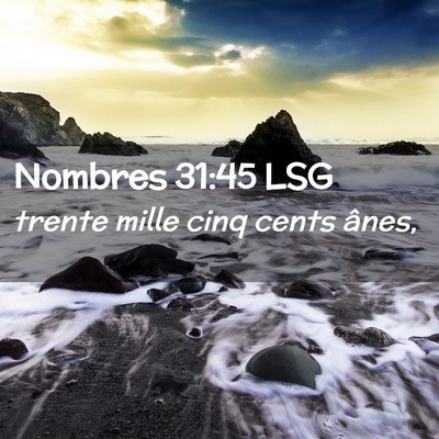 Picture 02 - Nombres 31:45 LSG - trente mille cinq cents - Bible Verse Picture