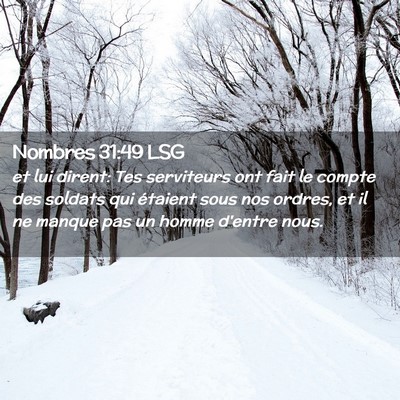 Picture 02 - Nombres 31:49 LSG - et lui dirent: Tes serviteurs ont fait le compte - Bible Verse Picture