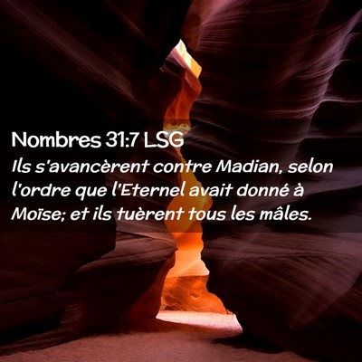 Picture 02 - Nombres 31:7 LSG - Ils s'avancèrent contre Madian, selon l'ordre - Bible Verse Picture