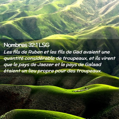 Picture 02 - Nombres 32:1 LSG - Les fils de Ruben et les fils de Gad avaient une - Bible Verse Picture