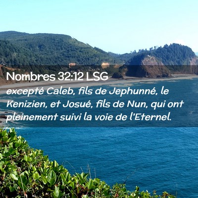 Picture 02 - Nombres 32:12 LSG - excepté Caleb, fils de Jephunné, le Kenizien, - Bible Verse Picture