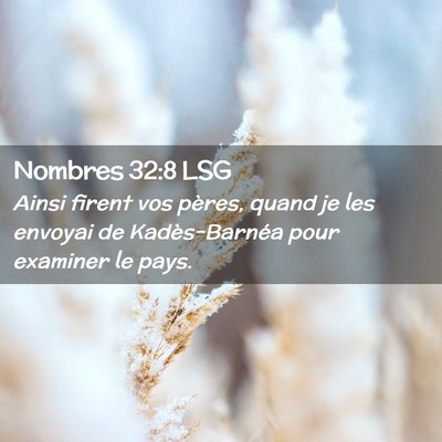 Picture 02 - Nombres 32:8 LSG - Ainsi firent vos pères, quand je les envoyai de - Bible Verse Picture
