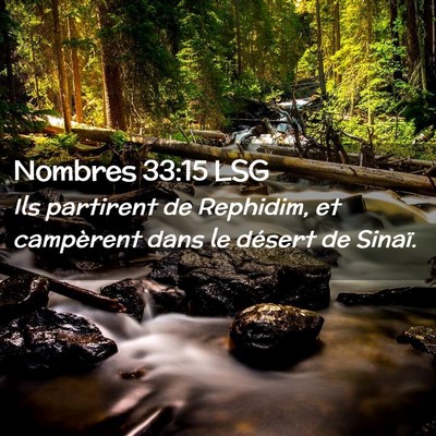 Picture 02 - Nombres 33:15 LSG - Ils partirent de Rephidim, et campèrent dans le - Bible Verse Picture