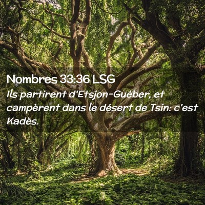 Picture 02 - Nombres 33:36 LSG - Ils partirent d'Etsjon-Guéber, et campèrent - Bible Verse Picture