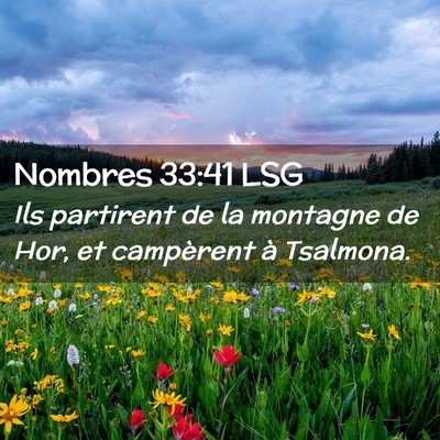 Picture 02 - Nombres 33:41 LSG - Ils partirent de la montagne de Hor, et - Bible Verse Picture