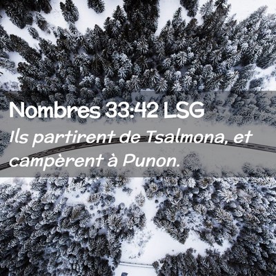 Picture 02 - Nombres 33:42 LSG - Ils partirent de Tsalmona, et campèrent à - Bible Verse Picture