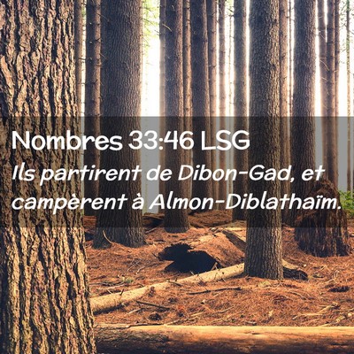 Picture 02 - Nombres 33:46 LSG - Ils partirent de Dibon-Gad, et campèrent à - Bible Verse Picture