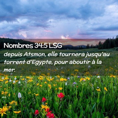 Picture 02 - Nombres 34:5 LSG - depuis Atsmon, elle tournera jusqu'au torrent - Bible Verse Picture