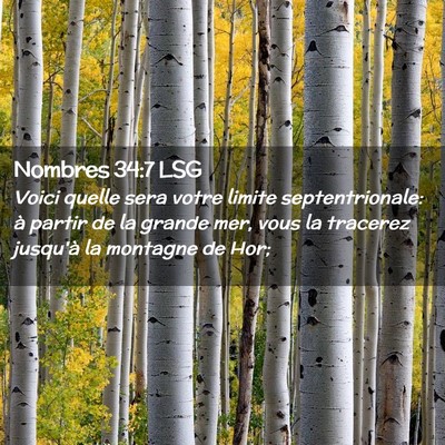 Picture 02 - Nombres 34:7 LSG - Voici quelle sera votre limite septentrionale: à - Bible Verse Picture