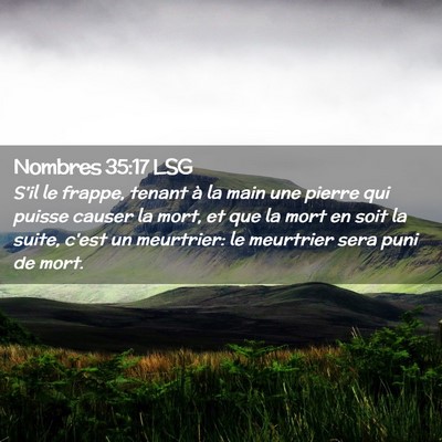 Picture 02 - Nombres 35:17 LSG - S'il le frappe, tenant à la main une pierre qui - Bible Verse Picture