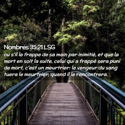 Picture 02 - Nombres 35:21 LSG - ou s'il le frappe de sa main par inimitié, et - Bible Verse Picture