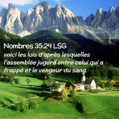 Picture 02 - Nombres 35:24 LSG - voici les lois d'après lesquelles l'assemblée - Bible Verse Picture