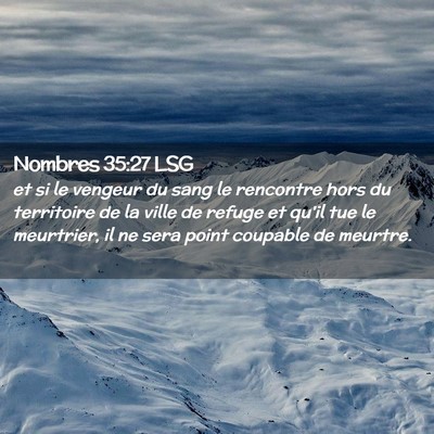 Picture 02 - Nombres 35:27 LSG - et si le vengeur du sang le rencontre hors du - Bible Verse Picture