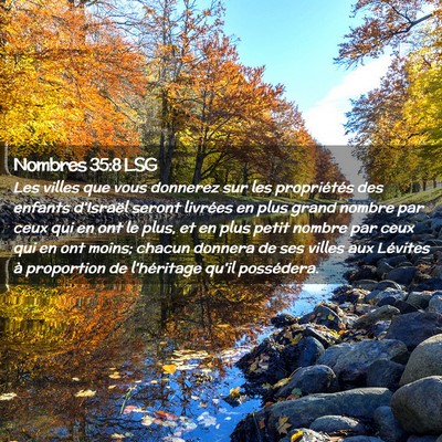 Picture 02 - Nombres 35:8 LSG - Les villes que vous donnerez sur les propriétés - Bible Verse Picture