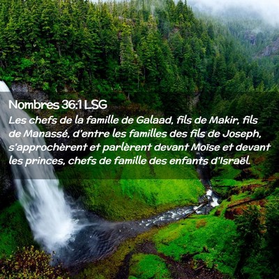 Picture 02 - Nombres 36:1 LSG - Les chefs de la famille de Galaad, fils de Makir, - Bible Verse Picture